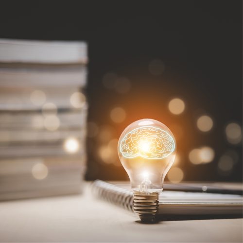 V2_CatagoryPhotos_500x50014