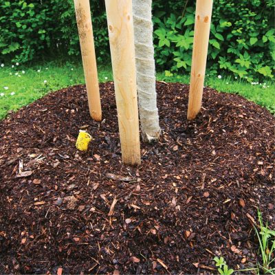 LandingPagePhotos_500x500