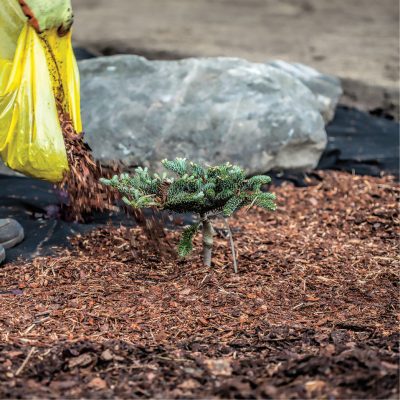 LandingPagePhotos_500x5003