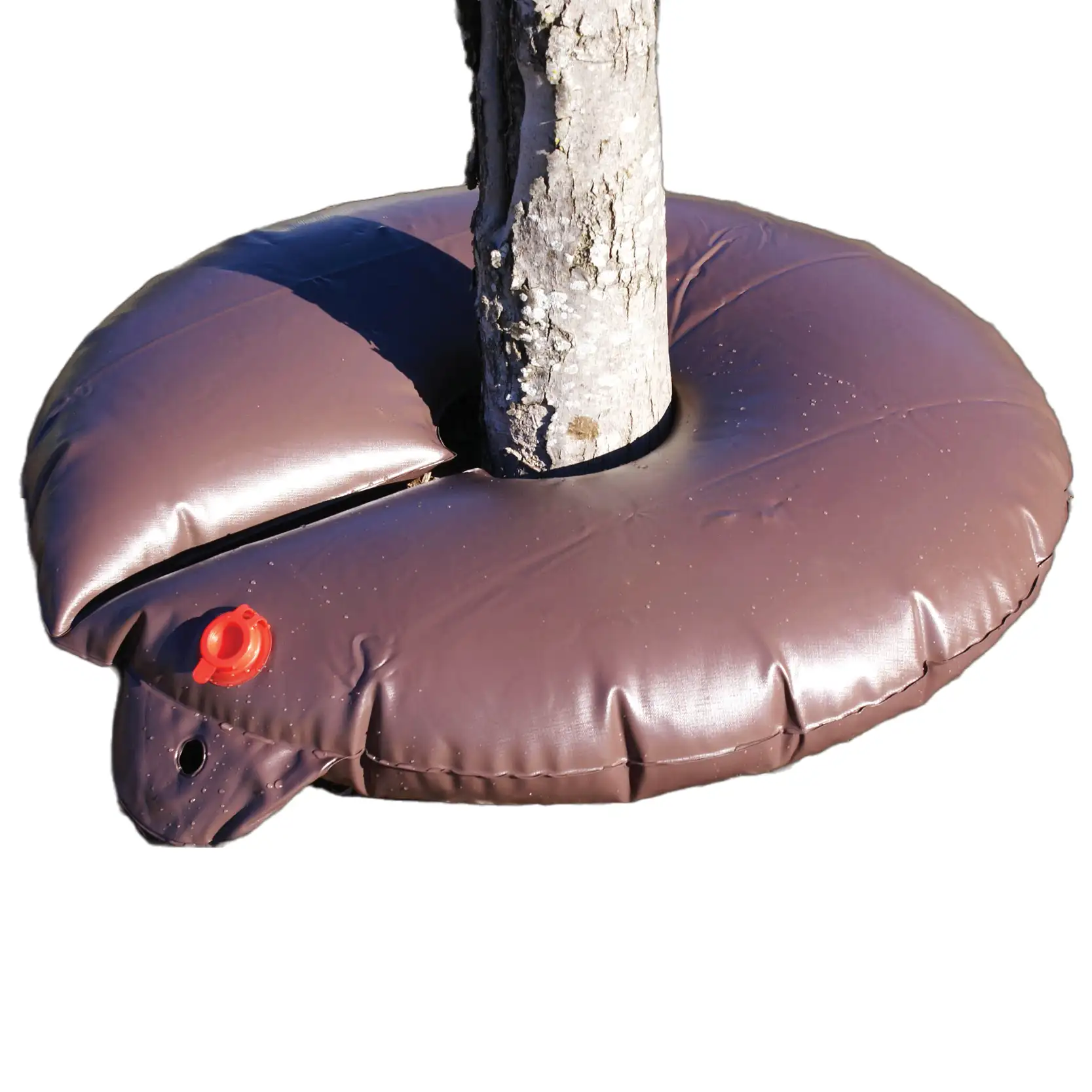 Tree Watering Ring